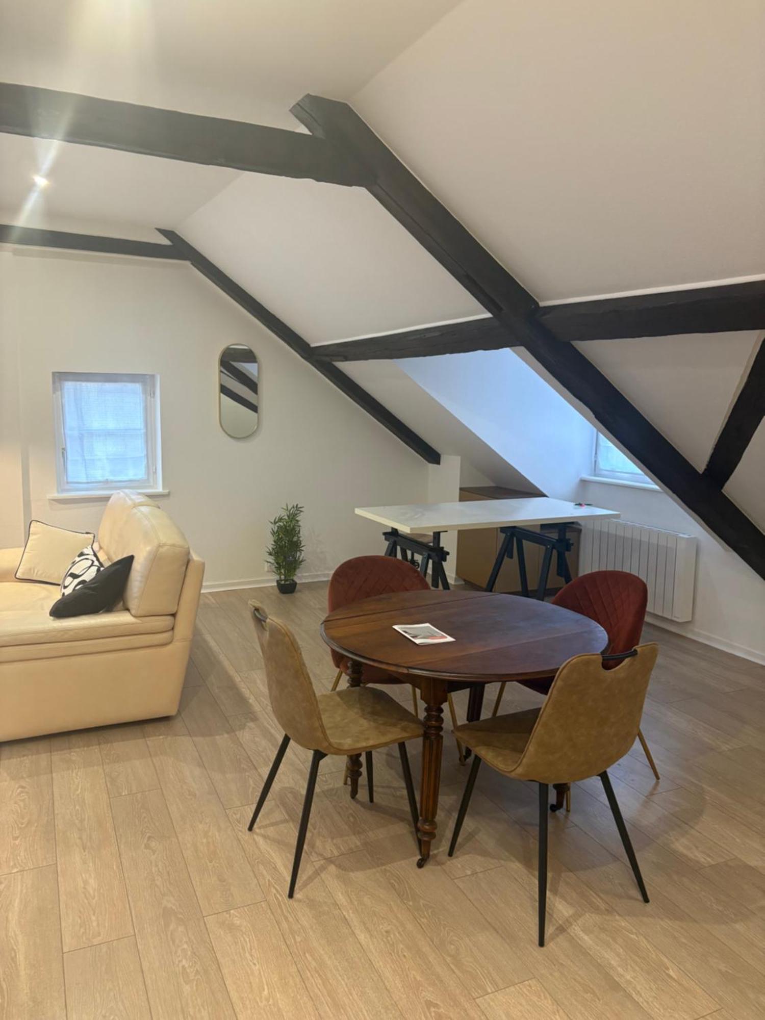 La Cigogne Apartment Straßburg